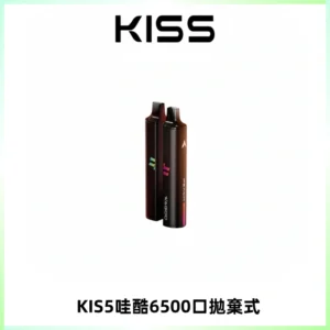KIS5WAGOO哇酷6500口拋棄式 | 自由混搭雙口味 | 雙芯組合